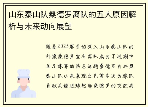 山东泰山队桑德罗离队的五大原因解析与未来动向展望