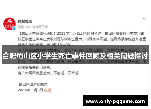 合肥蜀山区小学生死亡事件回顾及相关问题探讨