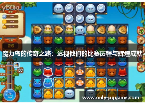 魔力鸟的传奇之路:透视他们的比赛历程与辉煌成就 魔力鸟的传奇之路:透视他们的比赛历程与辉煌成就