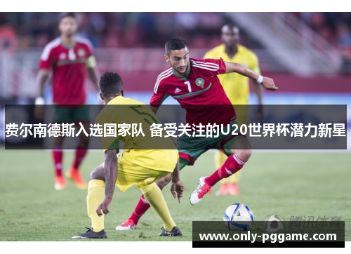 费尔南德斯入选国家队 备受关注的U20世界杯潜力新星