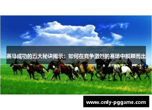 赛马成功的五大秘诀揭示:如何在竞争激烈的赛场中脱颖而出 赛马成功的五大秘诀揭示:如何在竞争激烈的赛场中脱颖而出