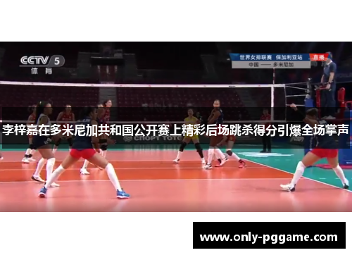 李梓嘉在多米尼加共和国公开赛上精彩后场跳杀得分引爆全场掌声