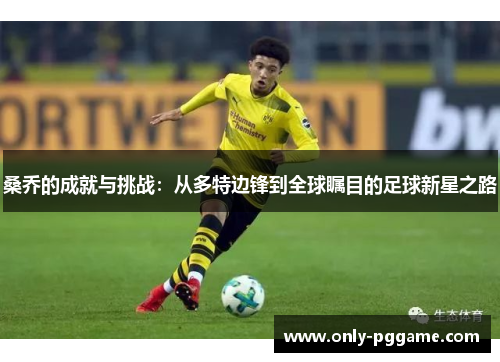 桑乔的成就与挑战：从多特边锋到全球瞩目的足球新星之路
